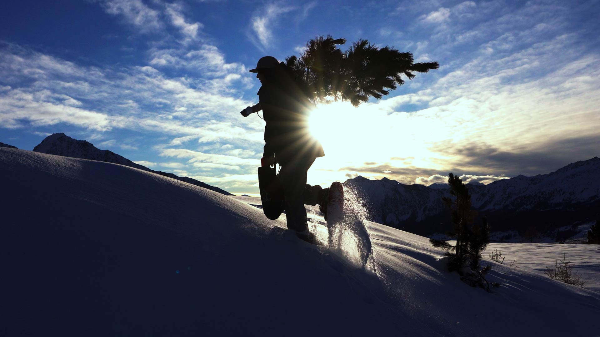 a snowshoer wearing snowfoot in the mountains while carrying a tree