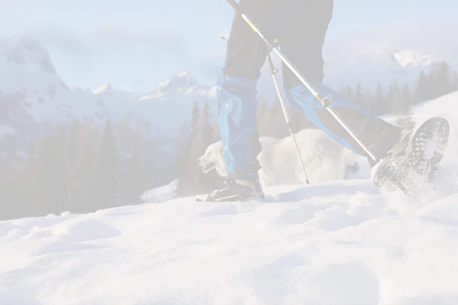 Close up of a snowshoer hiking through the mountains
