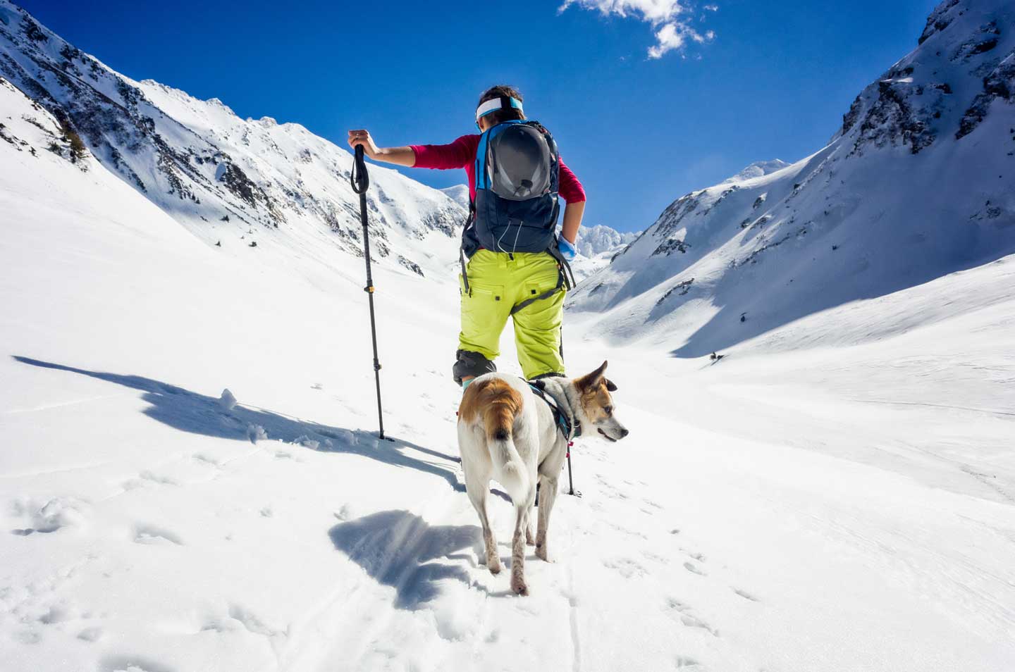 A backside view of a snowshoer in a short-sleeve shirt hiking through a mountain valley with poles, his dog following closely behind