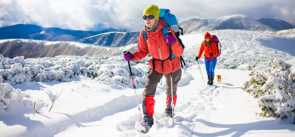 Two women snowshoeing on a snowy trail with a small dog