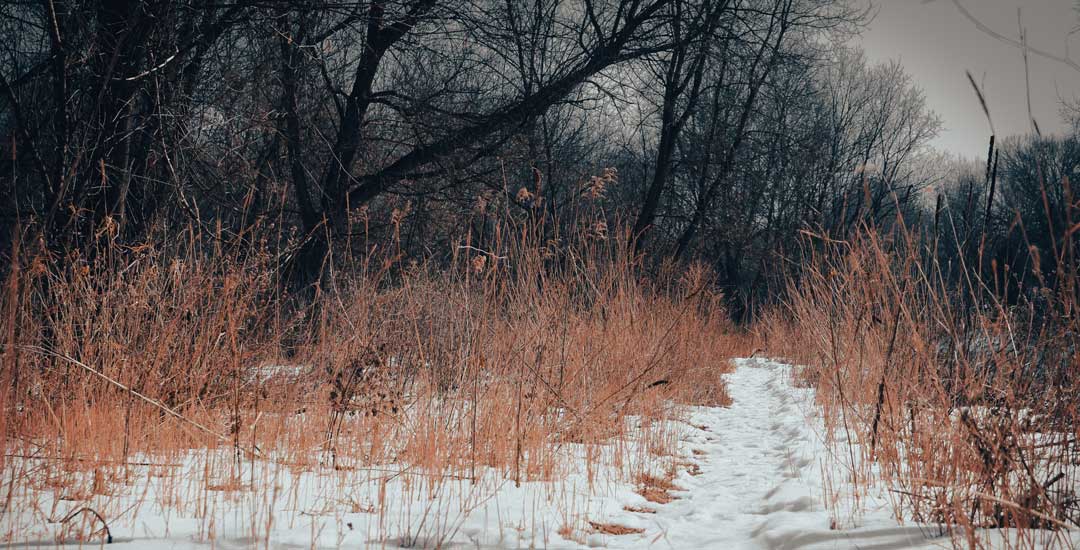 A hiking trail at Minnehaha Falls while snowshoeing