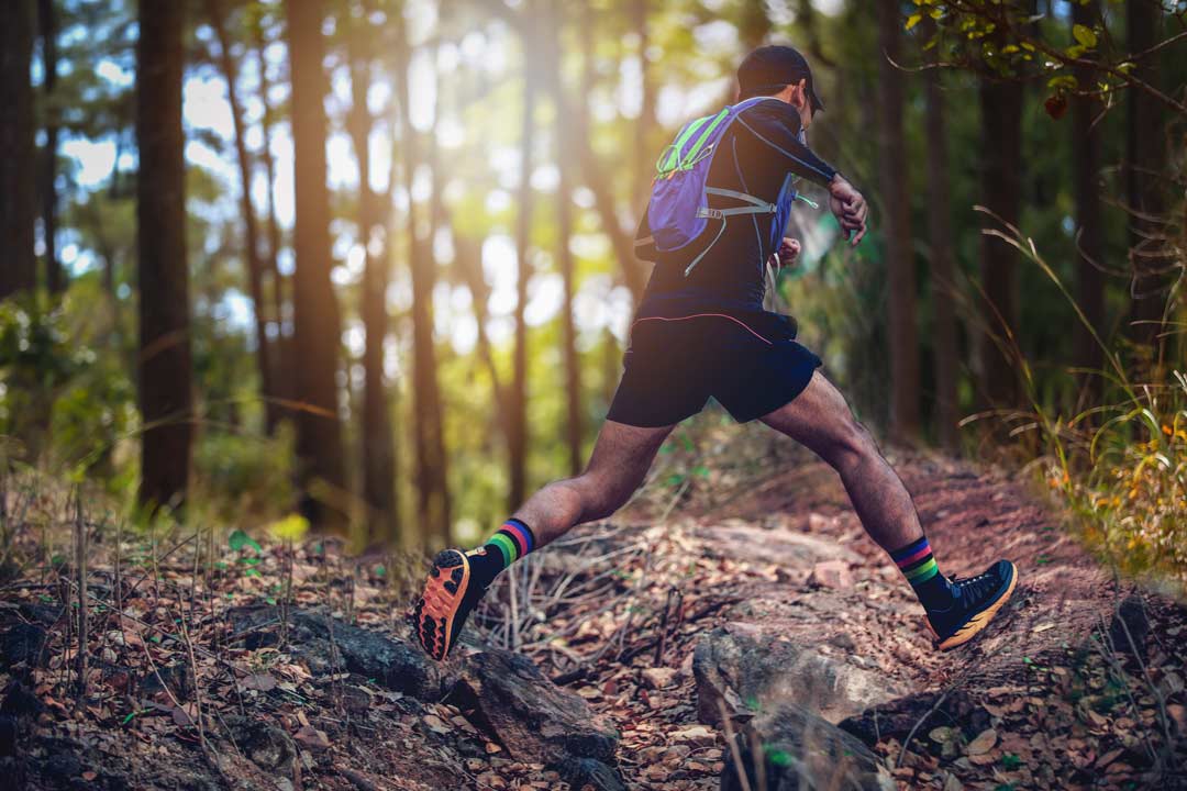 a person trail running through a dense forest during the summer
