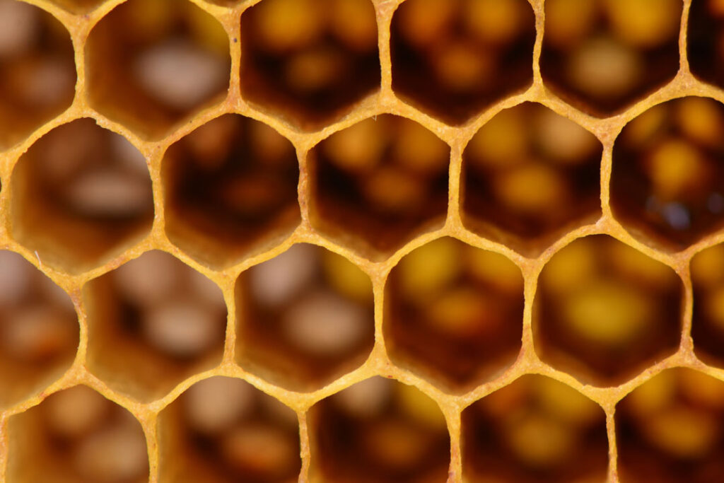 organic honeycomb pattern from a beehive 