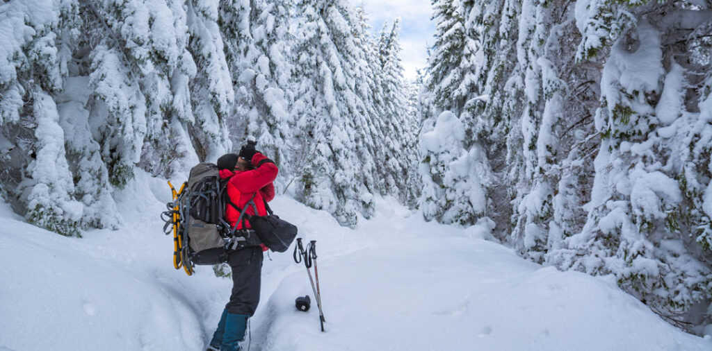 A snowshoer in the middle of a snowy forest with snow covered pine trees