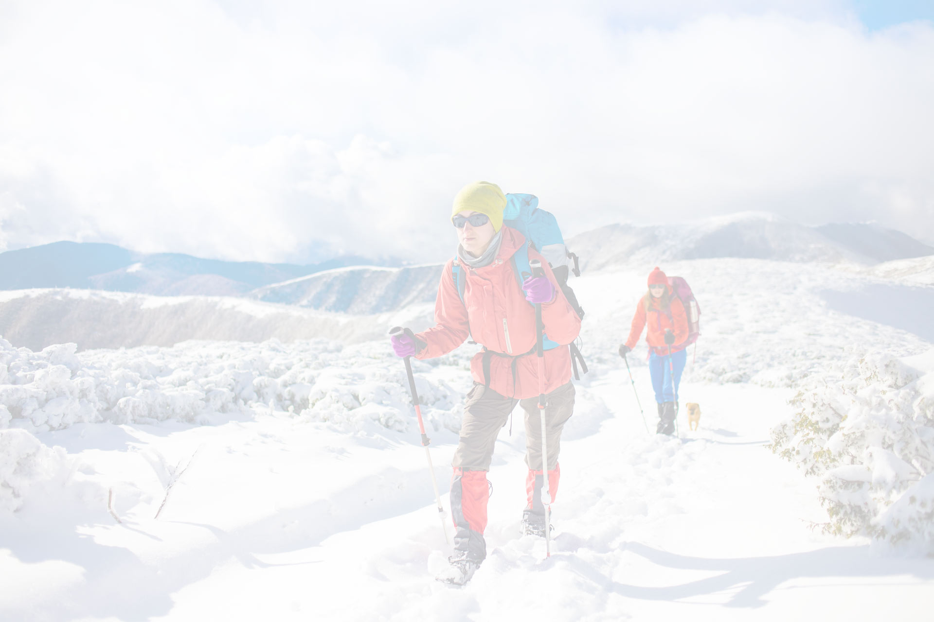 Two snowshoers hiking through a mountain pass with a small dog